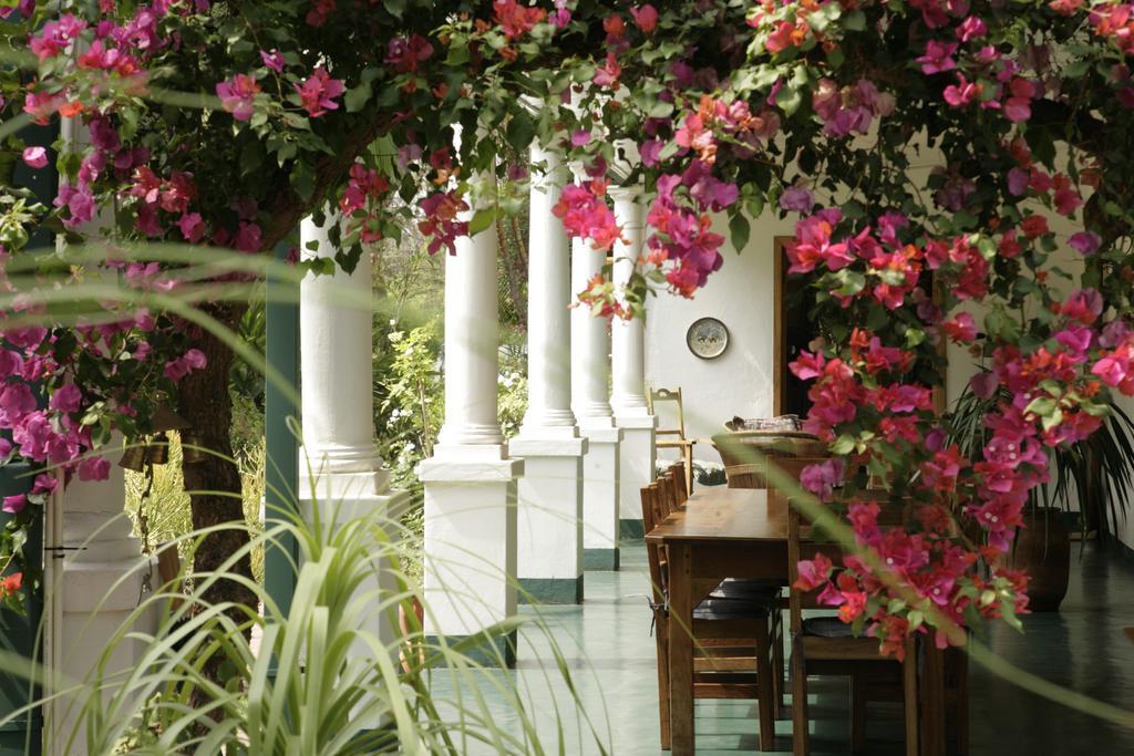 هراري York Lodge المظهر الخارجي الصورة