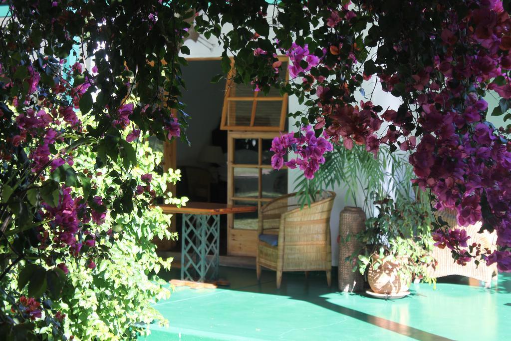 هراري York Lodge المظهر الخارجي الصورة