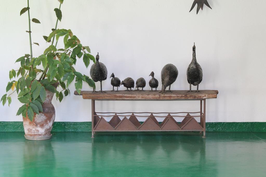 هراري York Lodge المظهر الخارجي الصورة